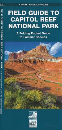 Field Guide to Capitol Reef National Park